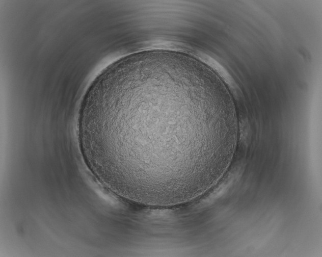 X0000111831043200907231313