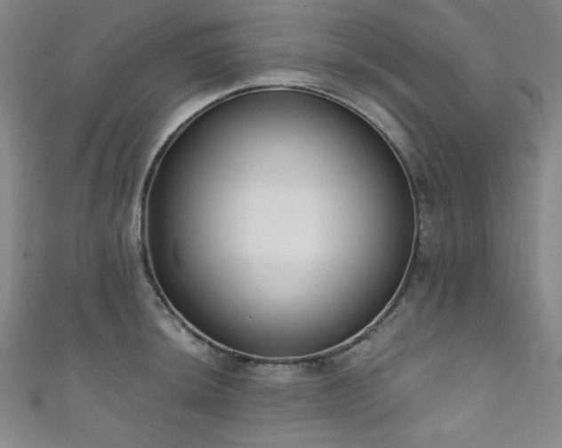 X0000111831044200907231313