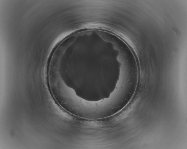 X0000111831045200907231313