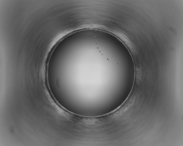 X0000111831046200907231313