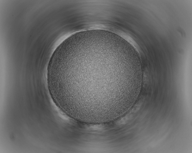 X0000111831047200907231313