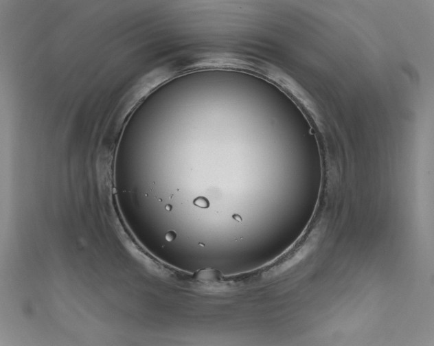 X0000111831049200907231313