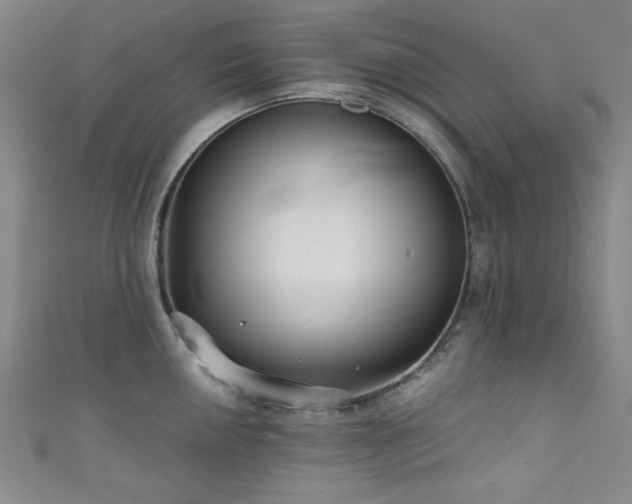 X0000111831050200907231313
