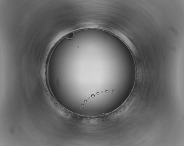 X0000111831051200907231313