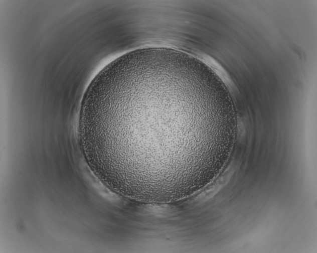 X0000111831052200907231313