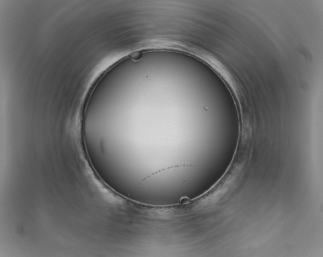 X0000111831053200907231313