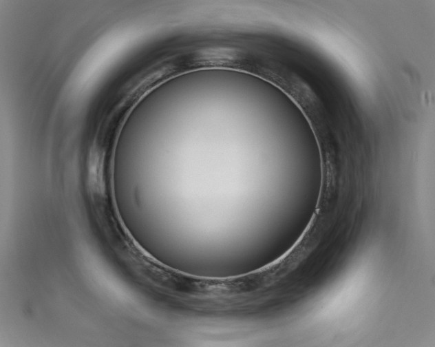 X0000111831054200907231313