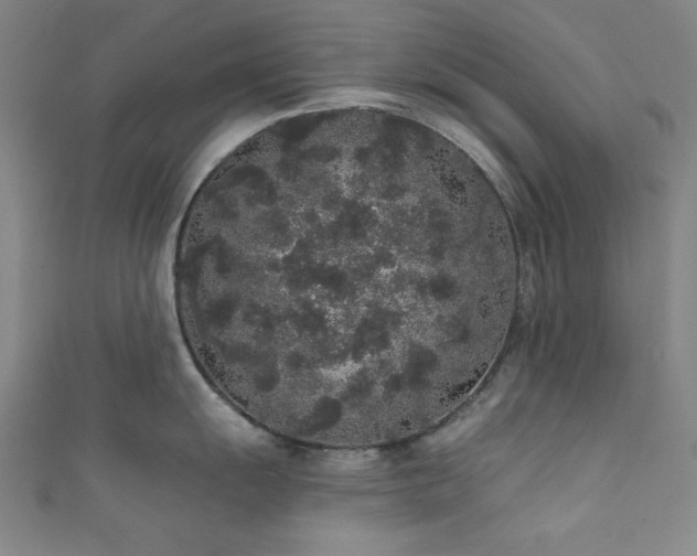 X0000111831055200907231313
