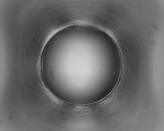 X0000111831056200907231313