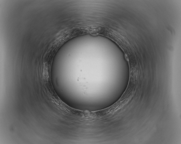 X0000111831058200907231312