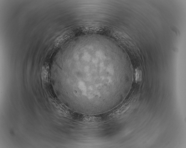 X0000111831059200907231312