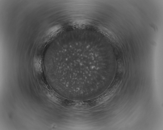 X0000111831060200907231312