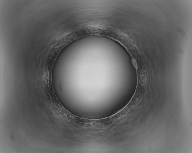 X0000111831061200907231312