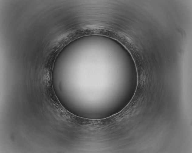 X0000111831062200907231312
