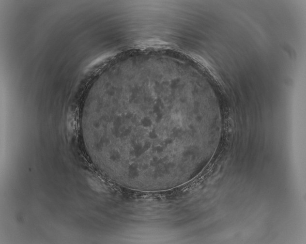 X0000111831063200907231312