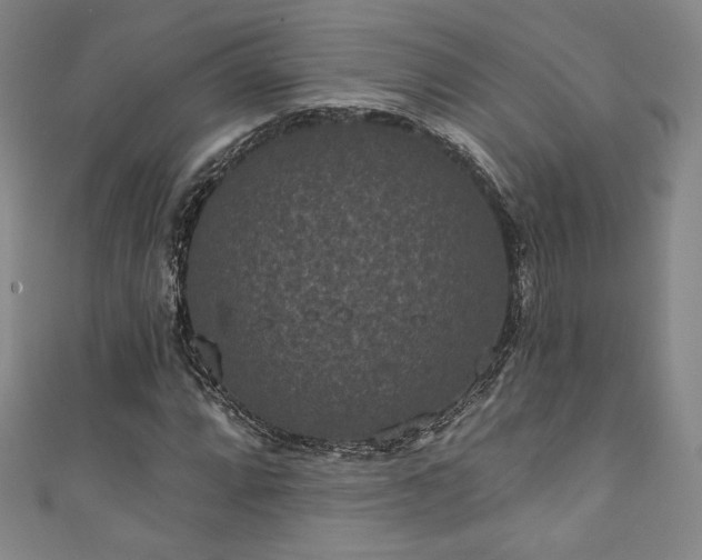 X0000111831064200907231312