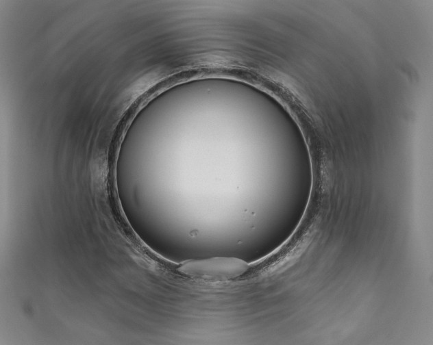 X0000111831065200907231312