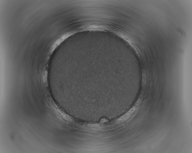 X0000111831066200907231312