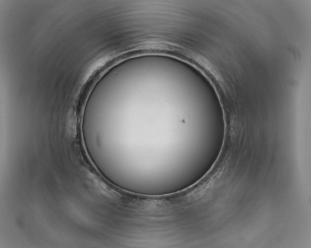 X0000111831067200907231312