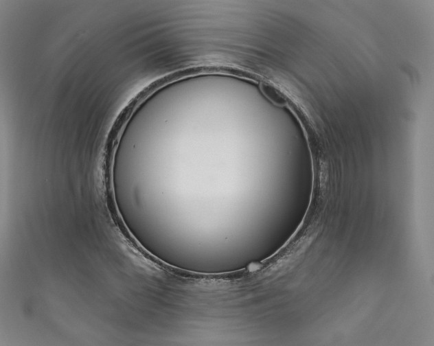 X0000111831068200907231312