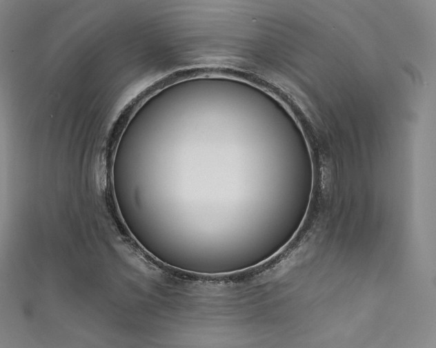 X0000111831069200907231312