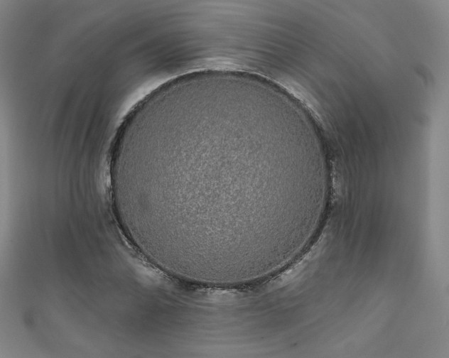 X0000111831070200907231312