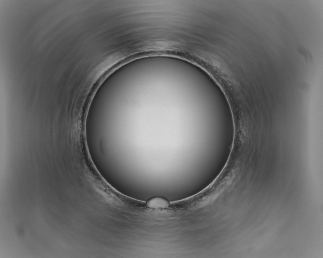 X0000111831073200907231312