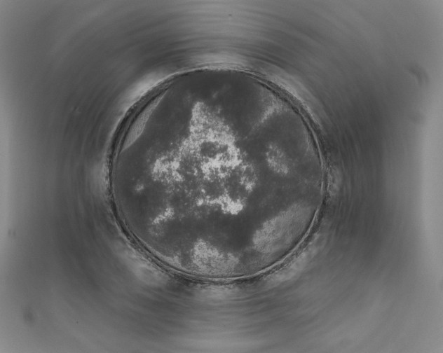 X0000111831074200907231312