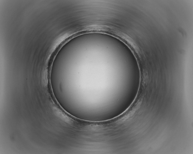 X0000111831075200907231312