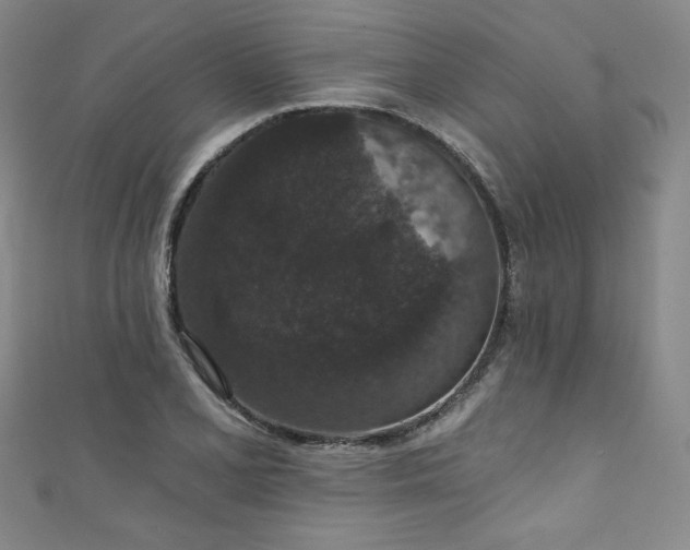 X0000111831077200907231312