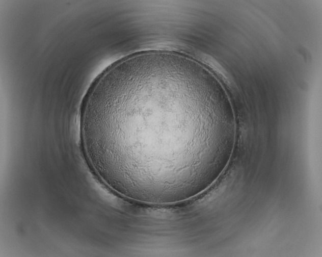 X0000111831079200907231312