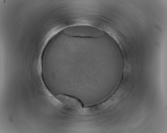 X0000111831080200907231312