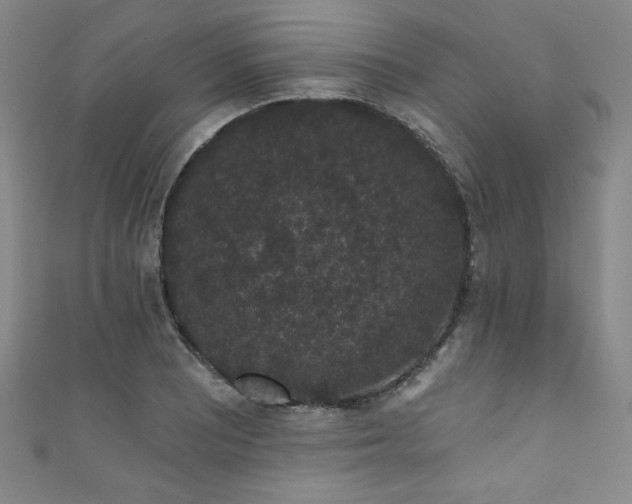 X0000111831081200907231312