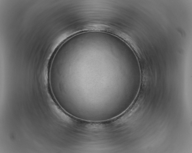 X0000111831083200907231312