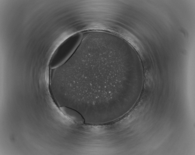 X0000111831084200907231312