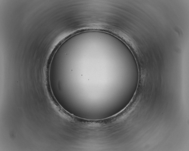 X0000111831085200907231312