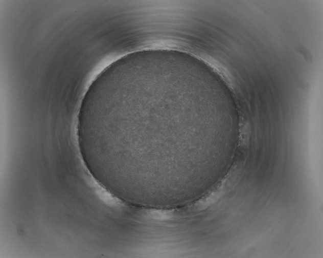 X0000111831086200907231312