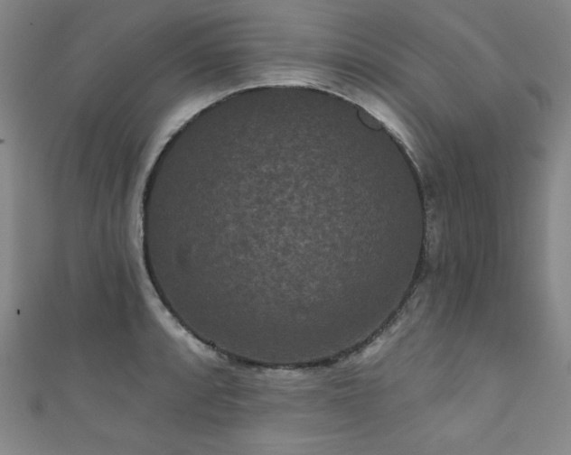 X0000111831088200907231312