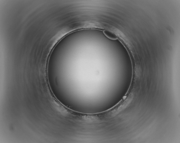 X0000111831089200907231312