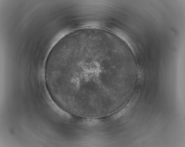 X0000111831090200907231312