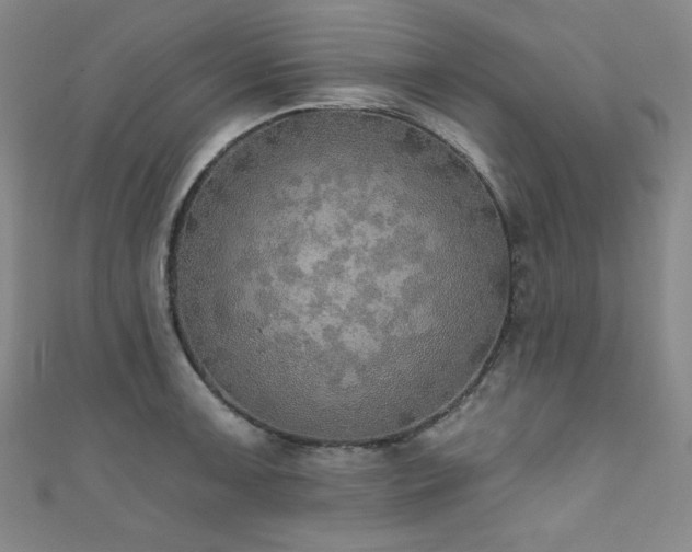 X0000111831091200907231312