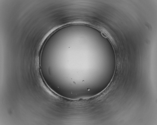 X0000111831092200907231312