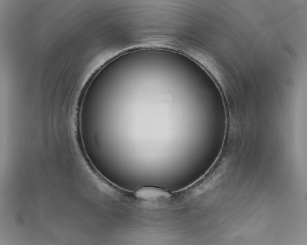 X0000111831093200907231312