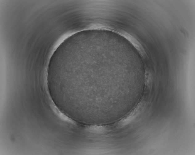 X0000111831094200907231312