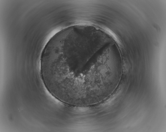 X0000111831095200907231312