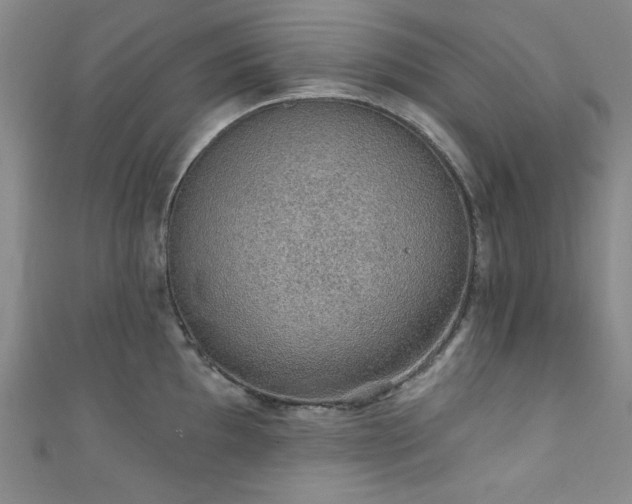 X0000111831097200907231312
