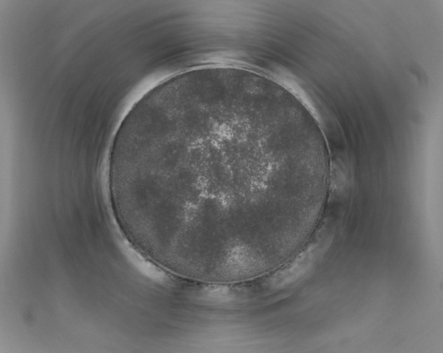 X0000111831098200907231312