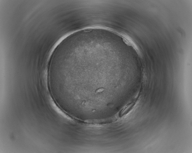 X0000111831100200907231312