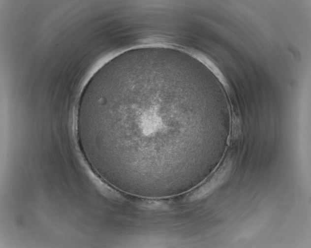 X0000111831101200907231312