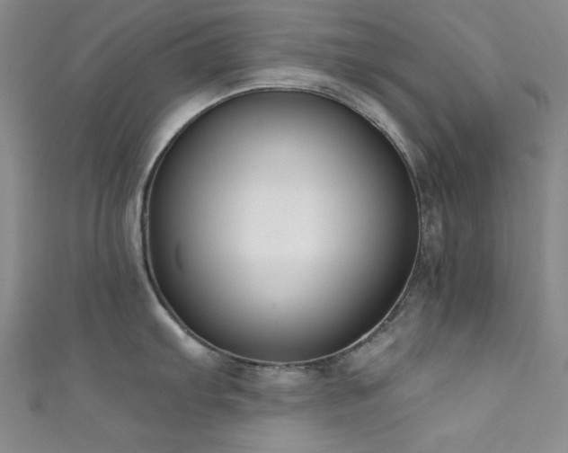 X0000111831103200907231312
